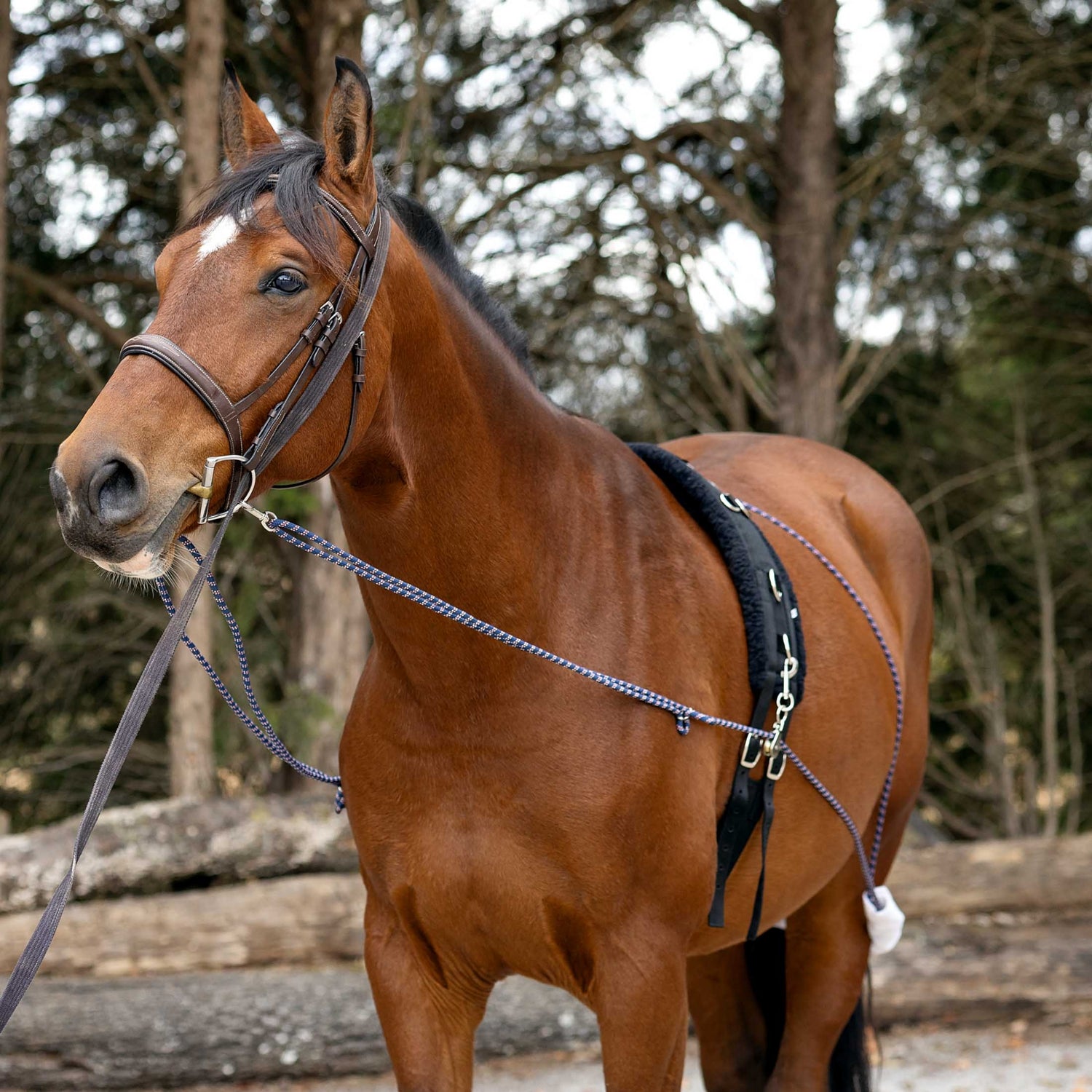 5-590004-02.jpg