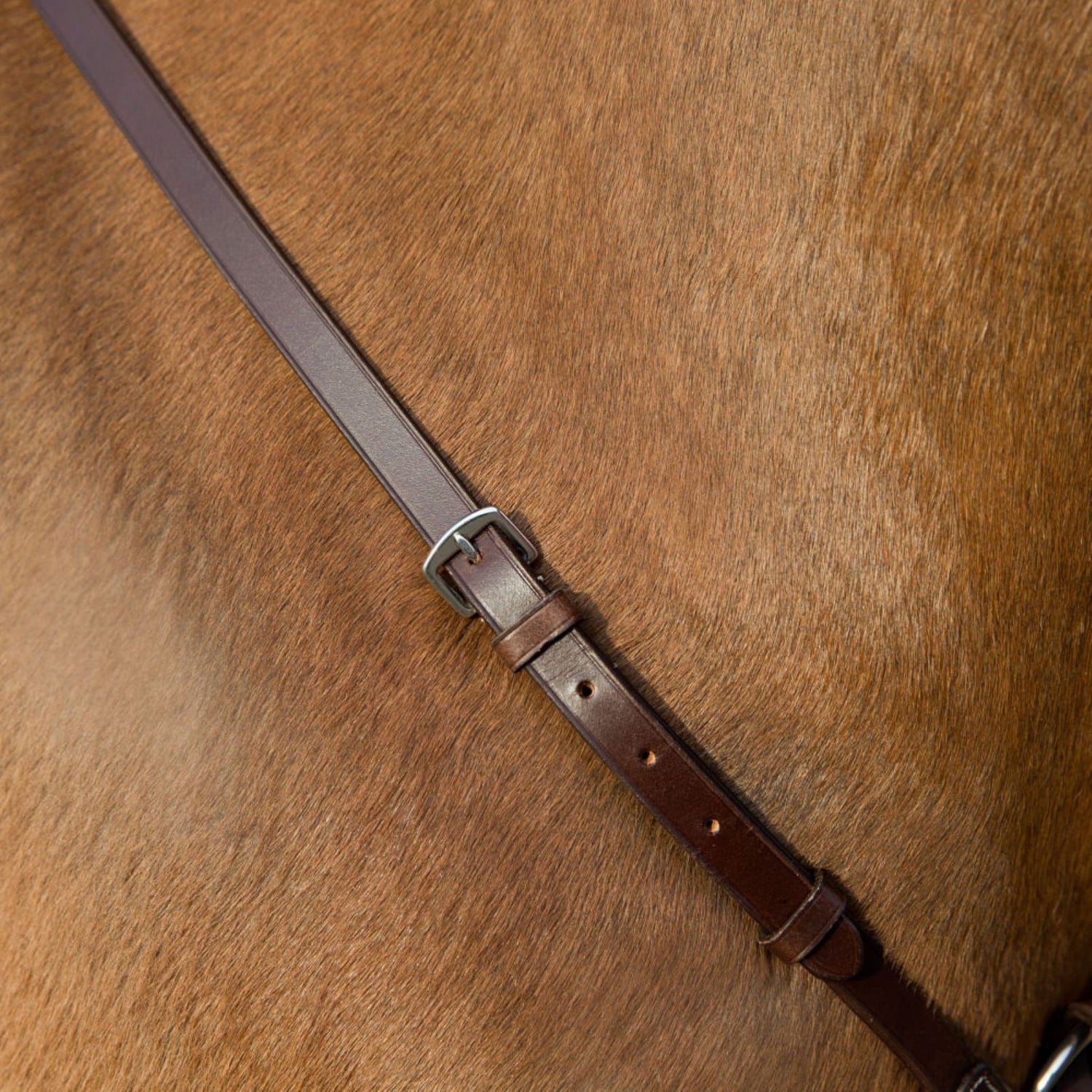 5-590018-d.jpg