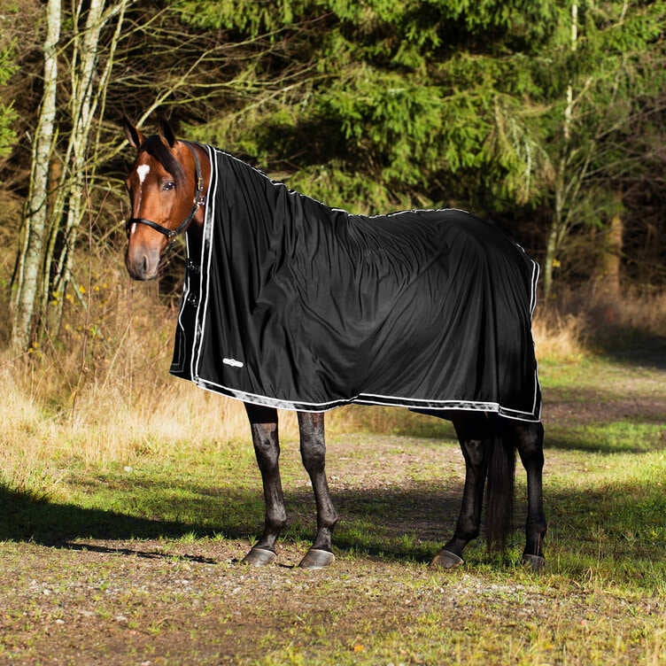 5-592064black.jpg
