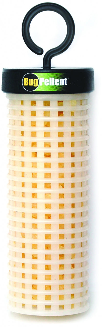 5-605301b.jpg