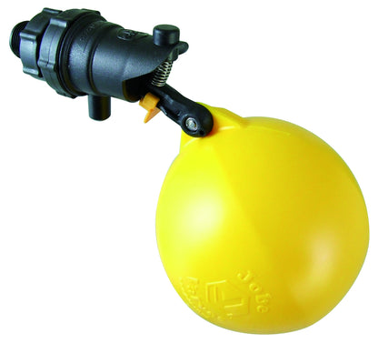 5-634702.jpg