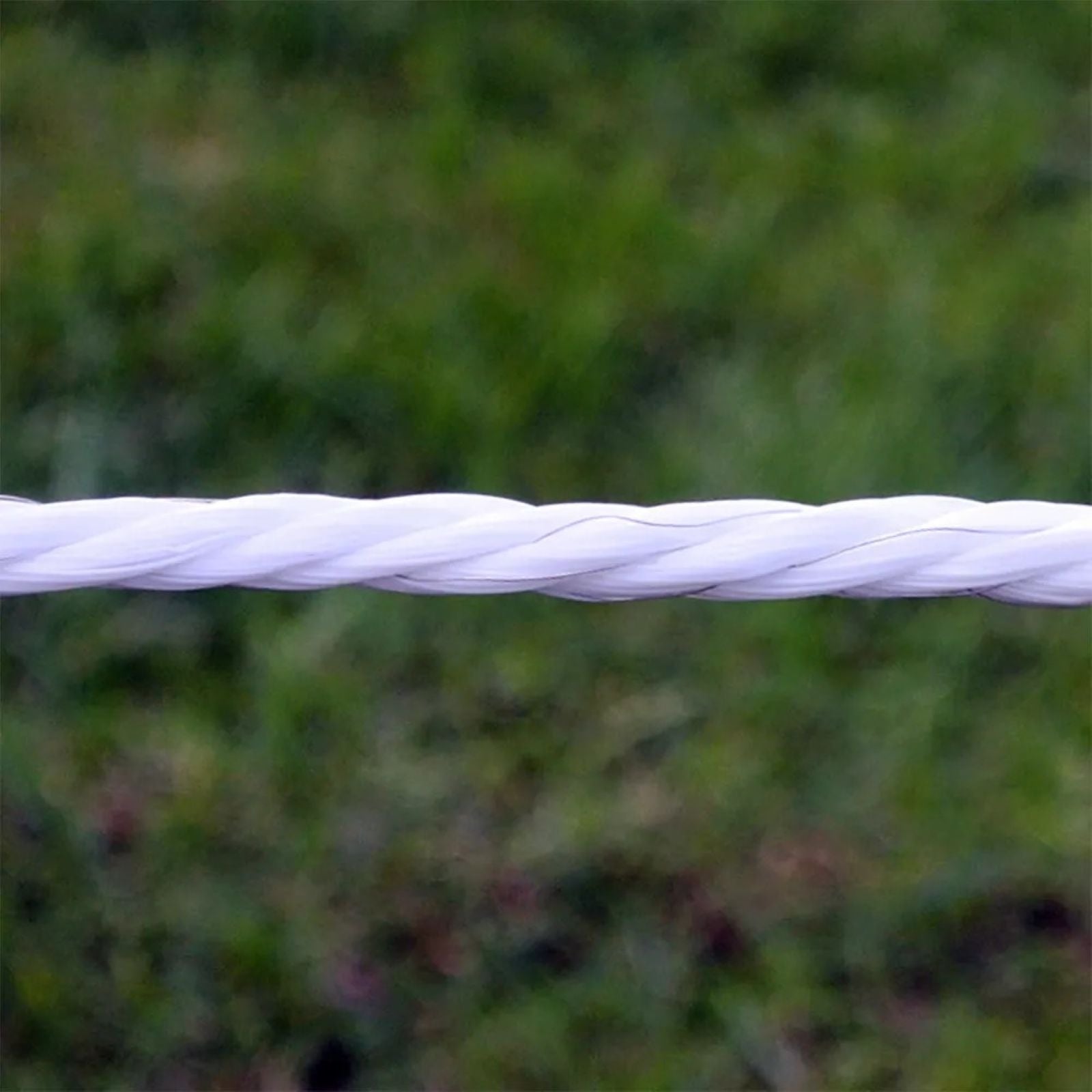 5-647995-01.jpg