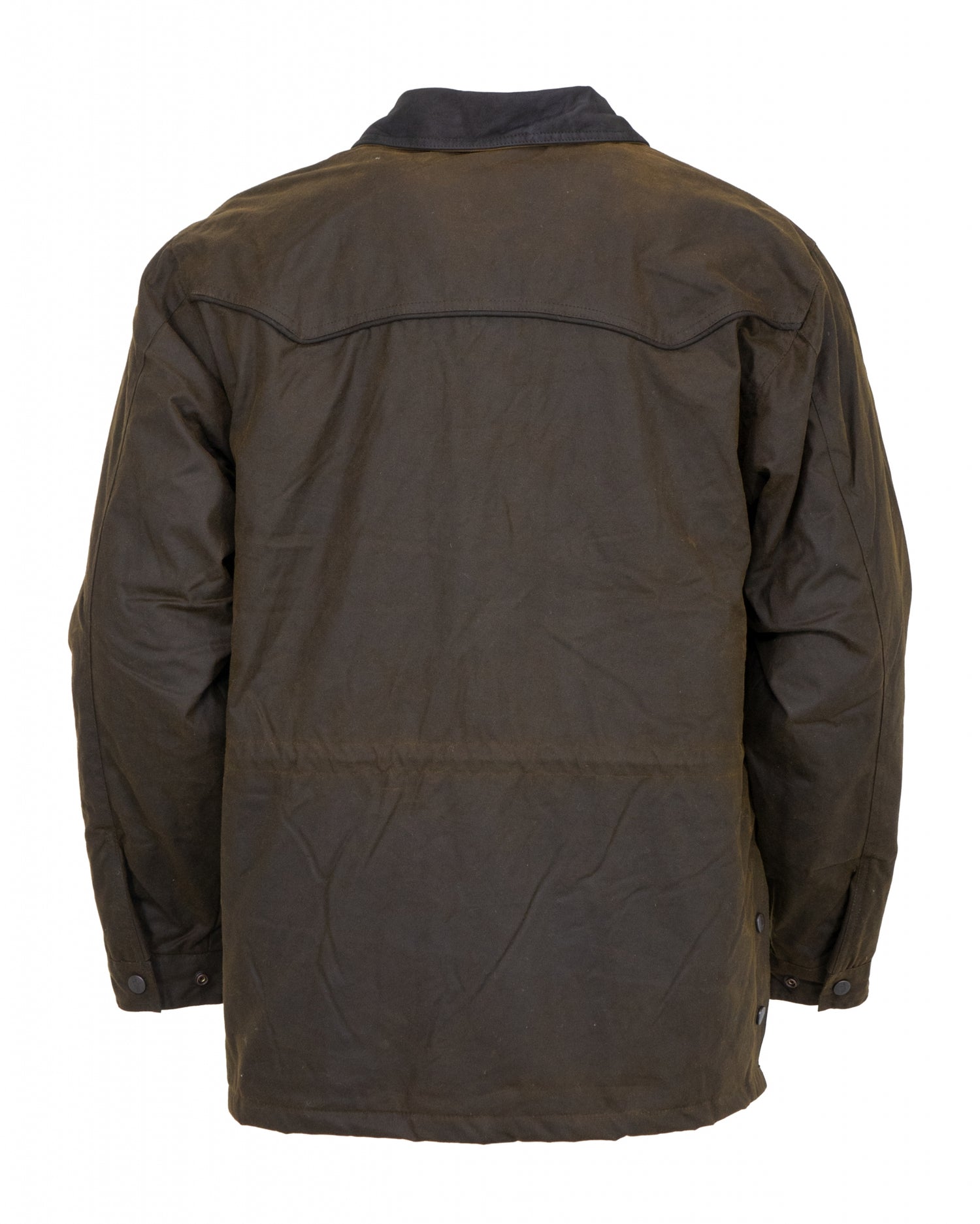 5-702436-bronze2.jpg