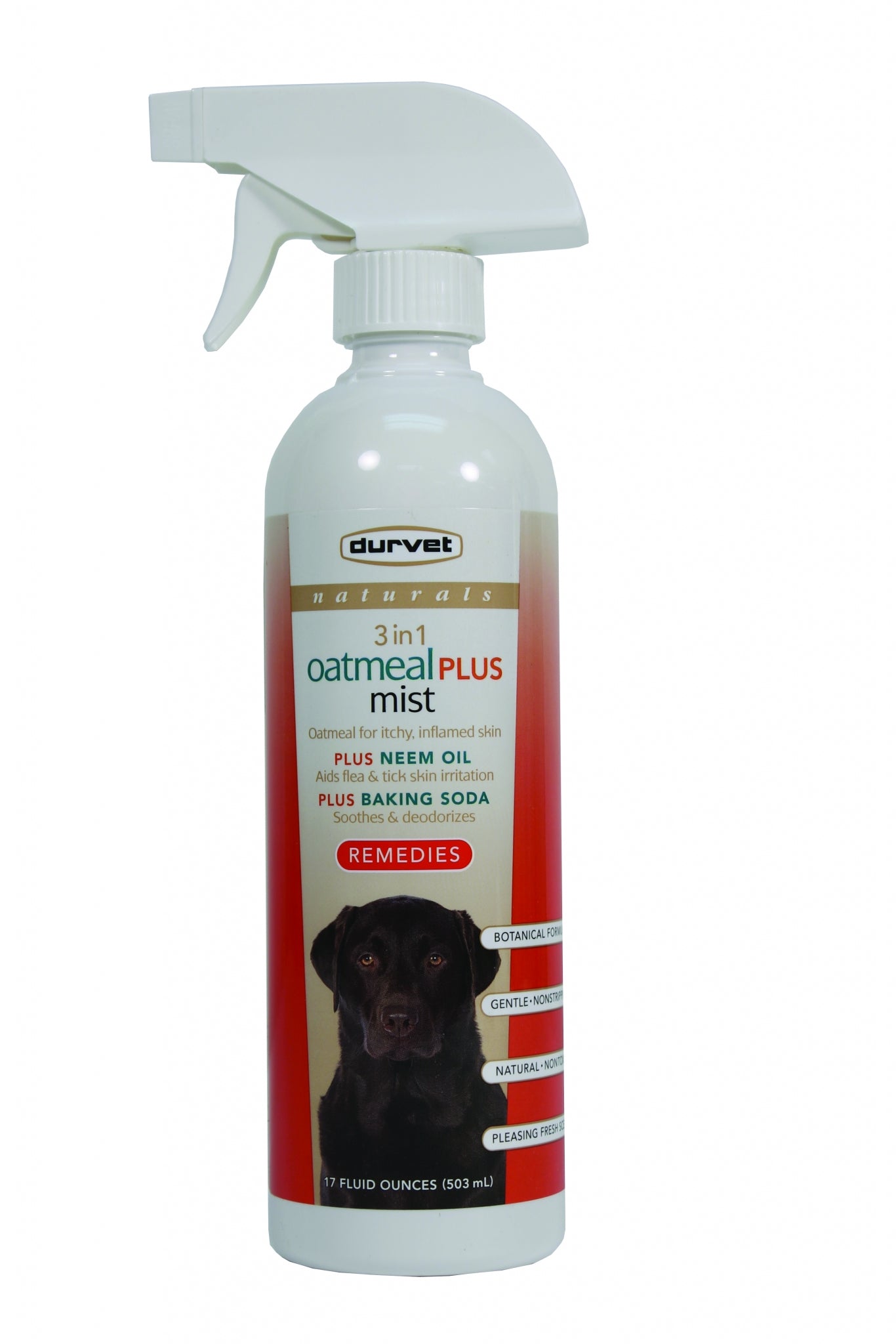 5-704793.jpg