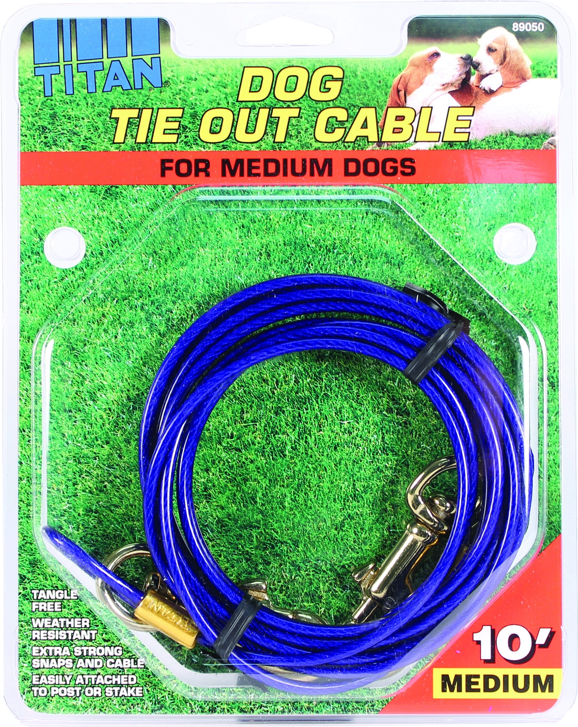 5-704898.jpg