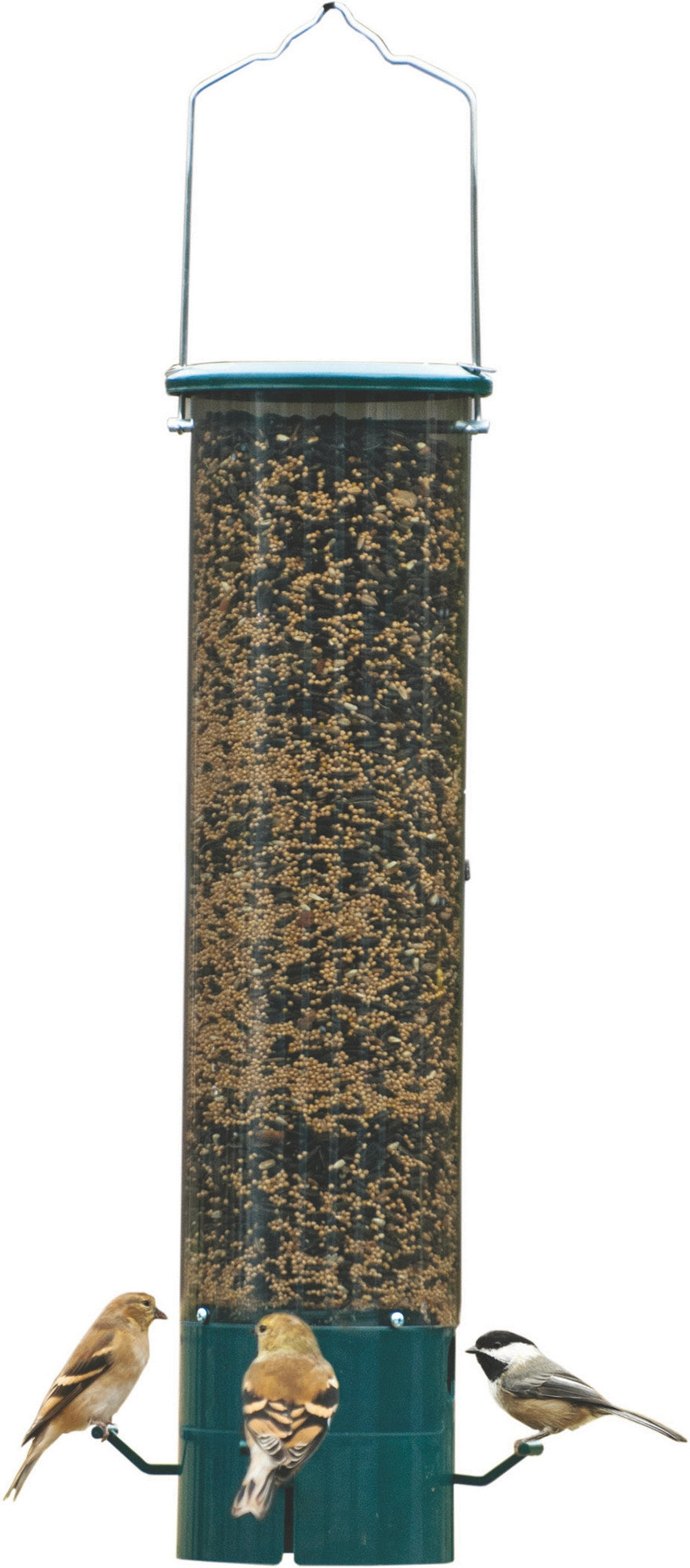5-705738.jpg