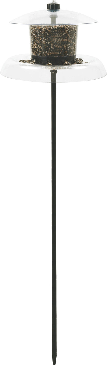 5-706083.jpg