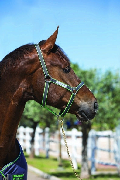 5-714822.jpg