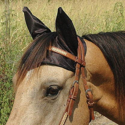 5-748357.jpg