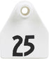 5-782611.jpg