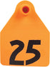 5-782684.jpg