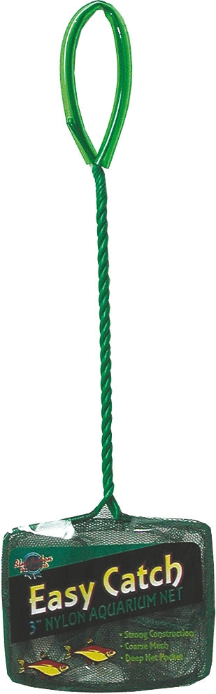 5-810320.jpg