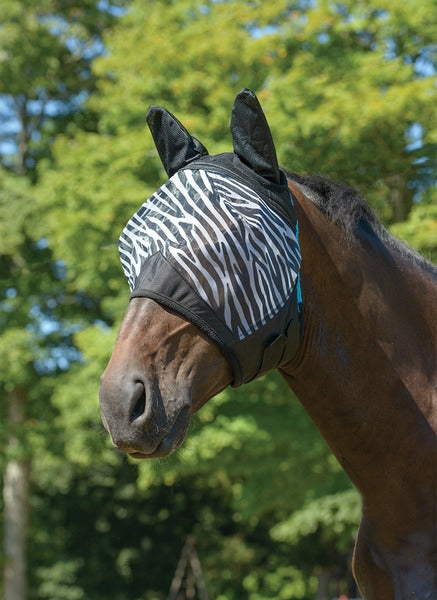 5-817631-zebra.jpg