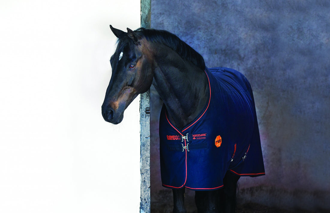 5-821084-blackblackorange.jpg