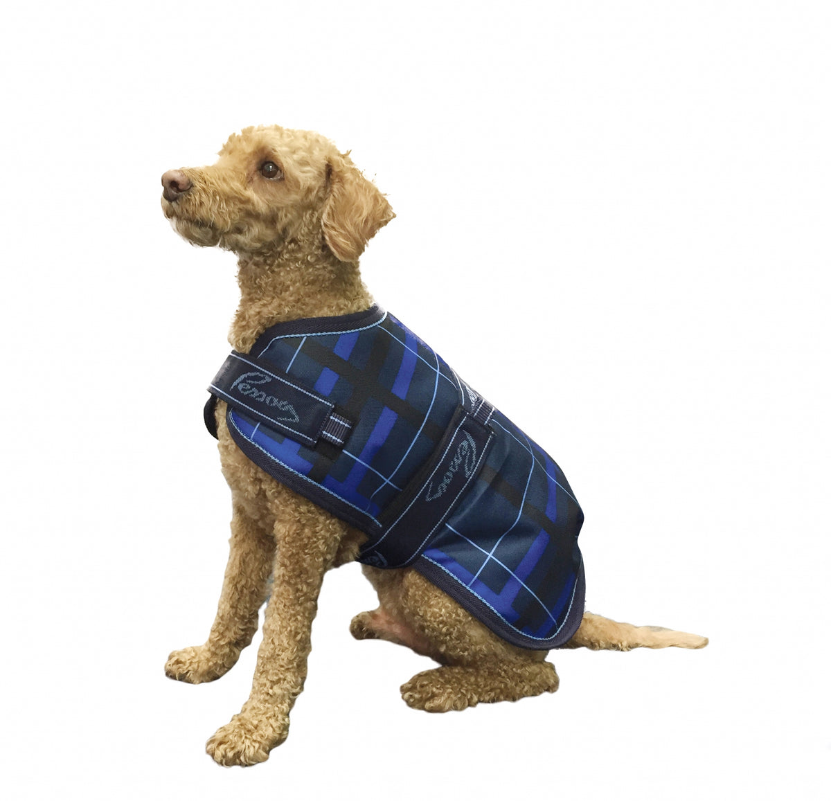 5-827175-navyblackplaid.jpg