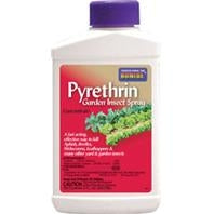 Liquid Pyrethrin Concentrate – EquestrianCollections