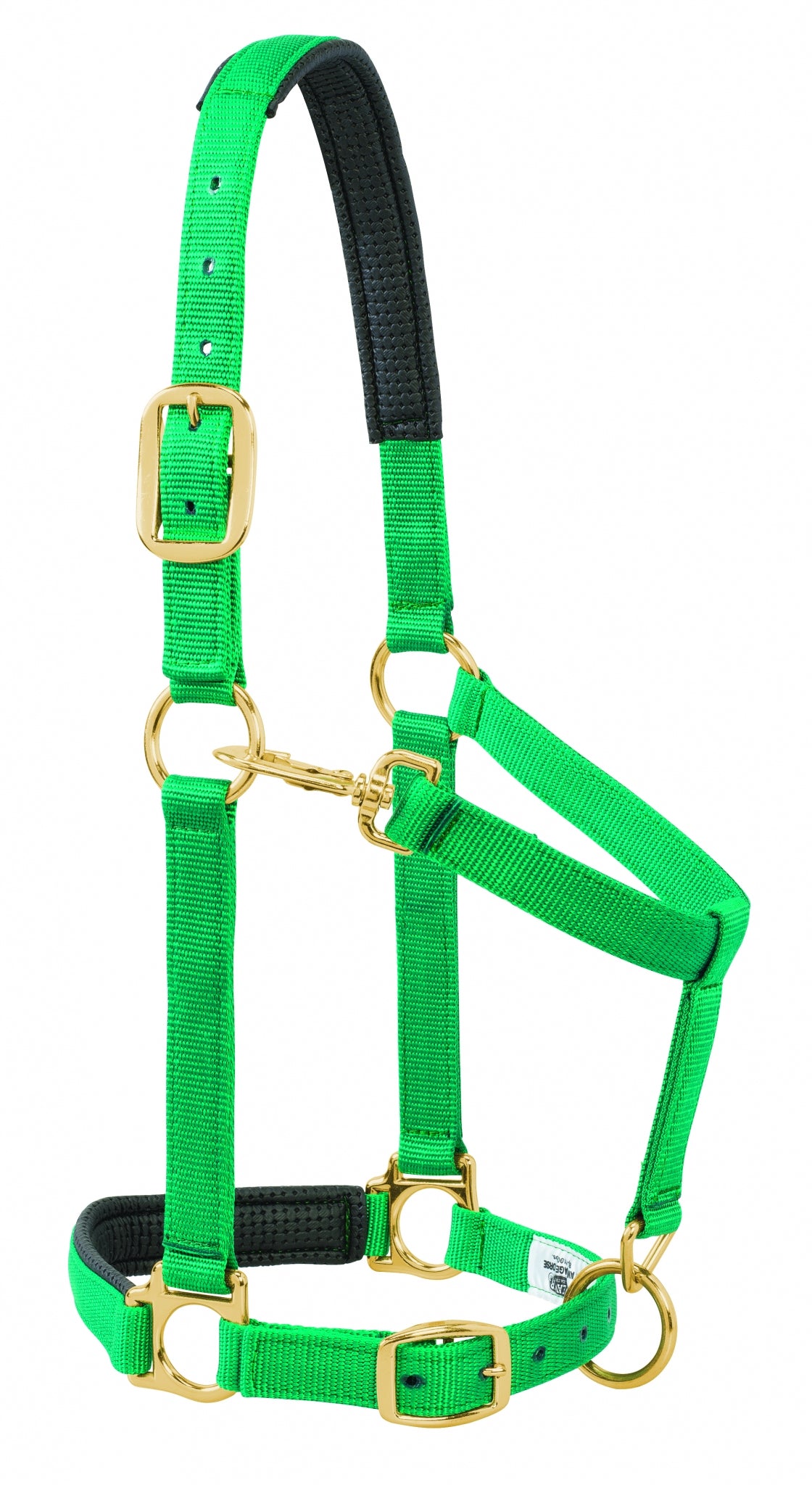 5-841183-green.jpg