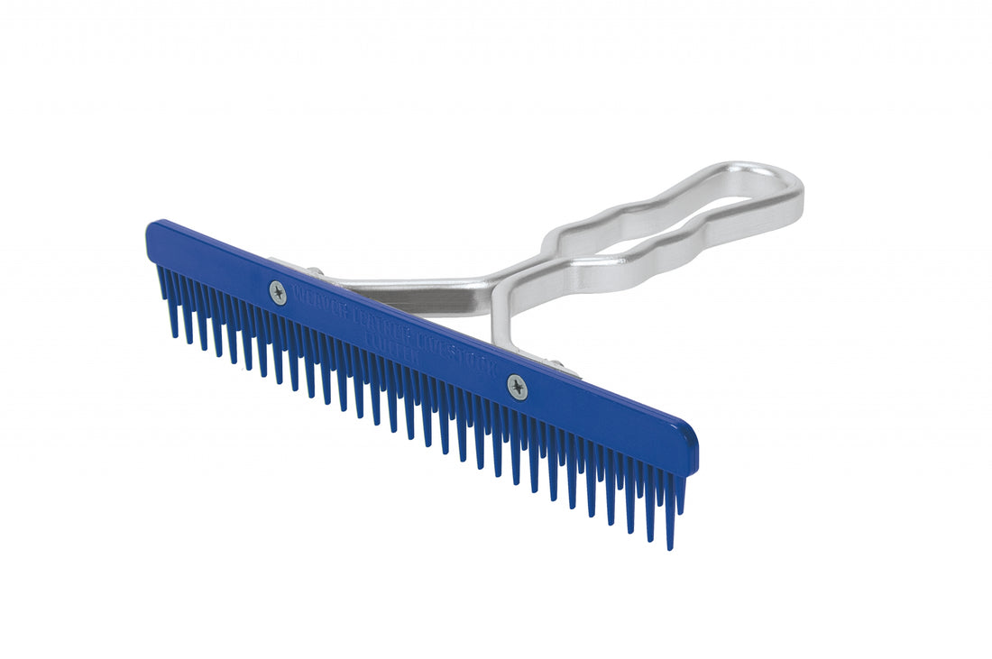 5-853593-blue.jpg