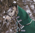 5-855585-greensilver.jpg