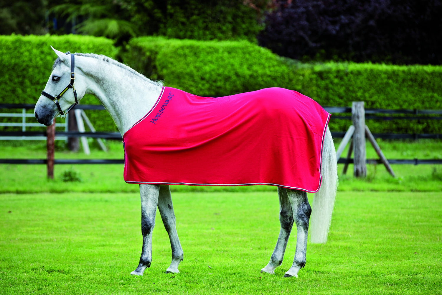 5-855650-redgrey.jpg