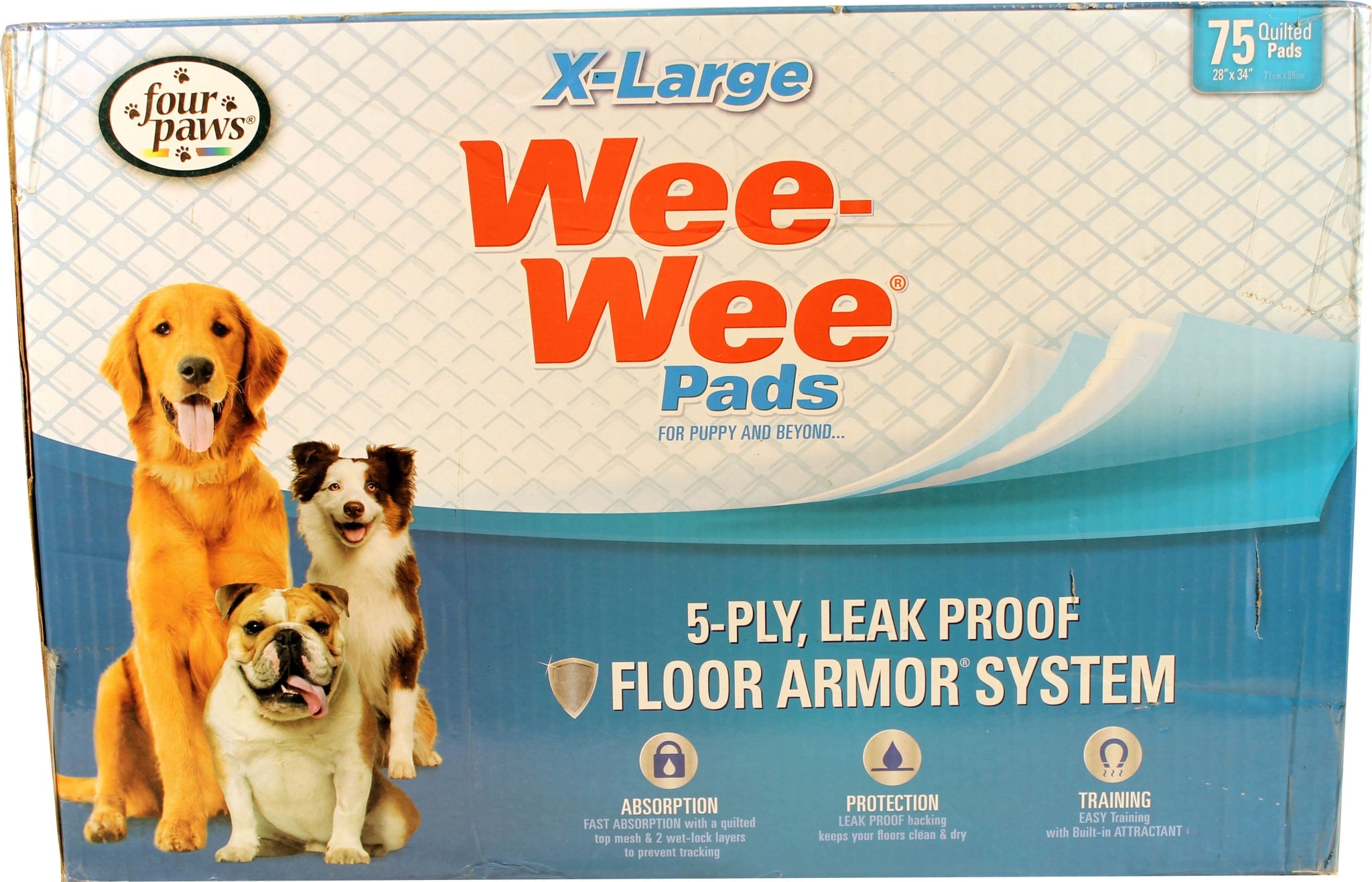 5-862989-xlarge.jpg