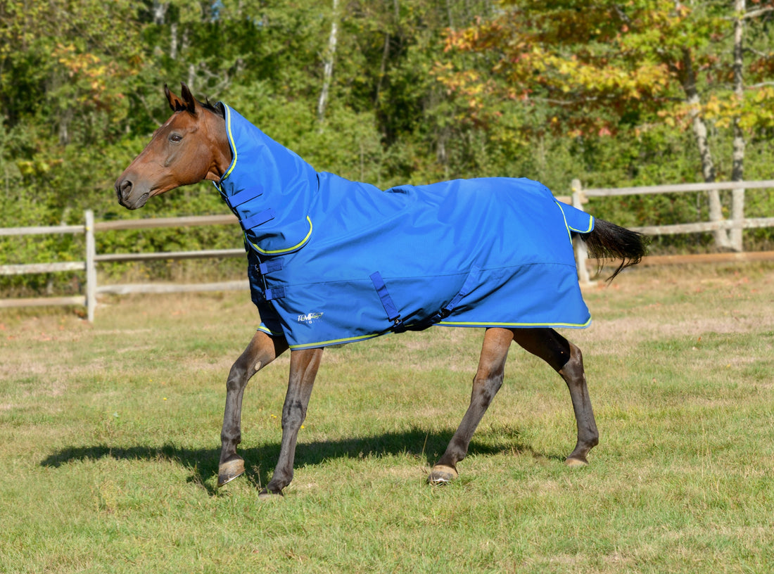 5-871610-royallime.jpg