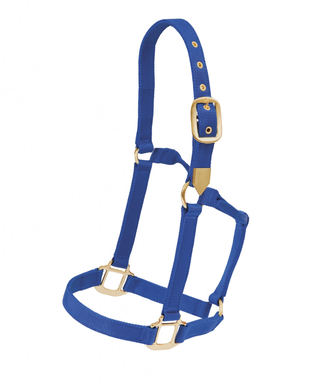 5-881097-blue.jpg