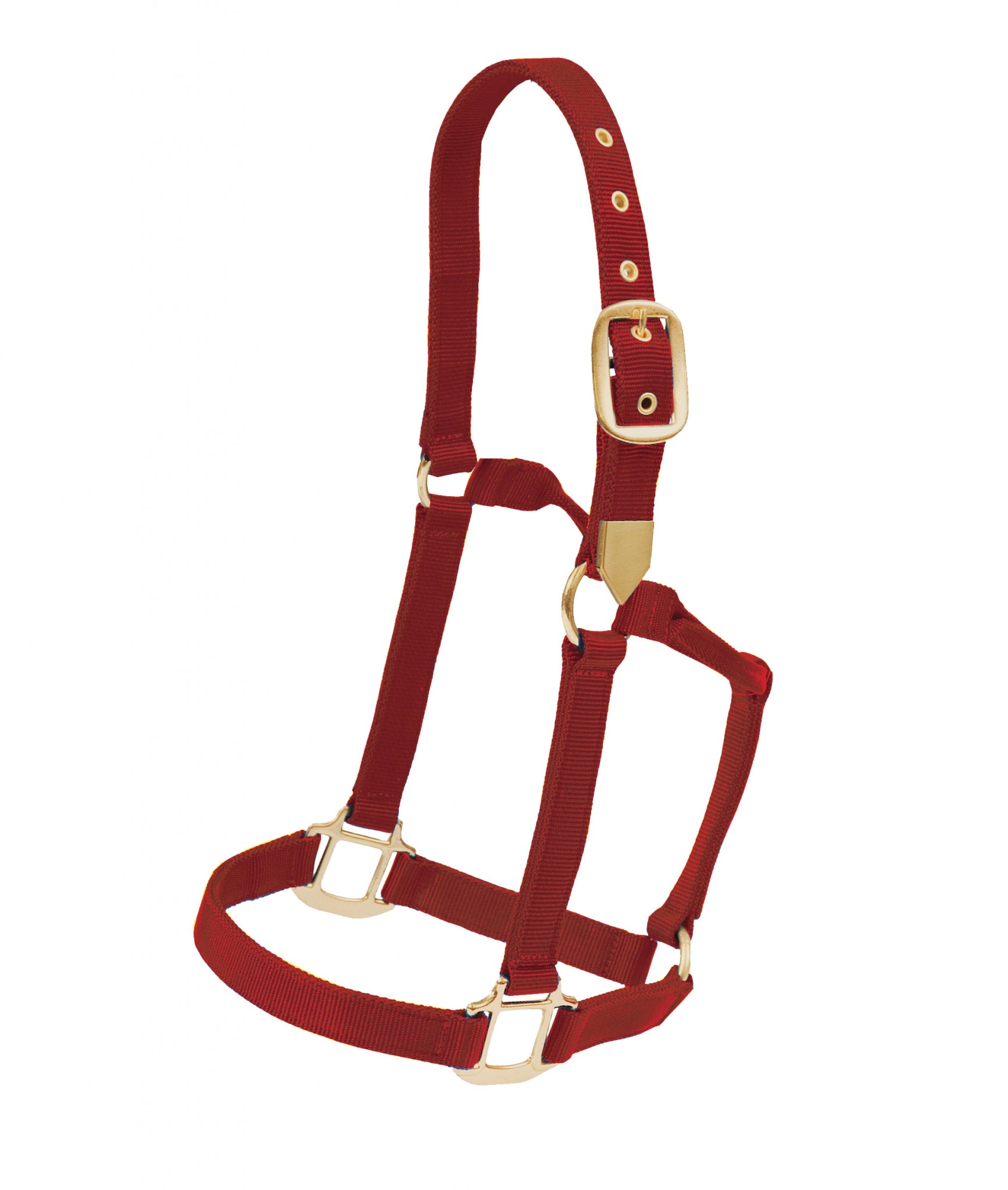 5-881097-red.jpg