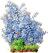 5-884087-blue.jpg