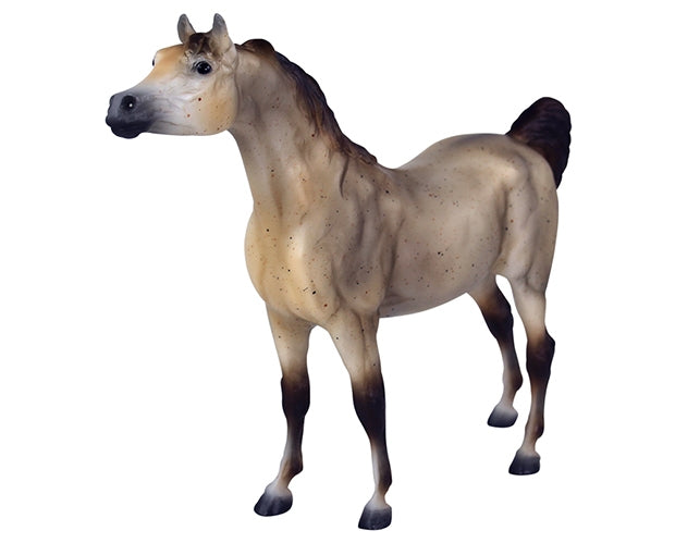 5-893697-ga2.jpg