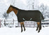 5-894028-black.jpg