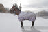 5-894335-titanium_amber_plaid.jpg
