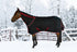 5-894522-black.jpg