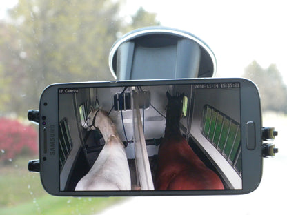 5-895186-inhorsetrailer.jpg