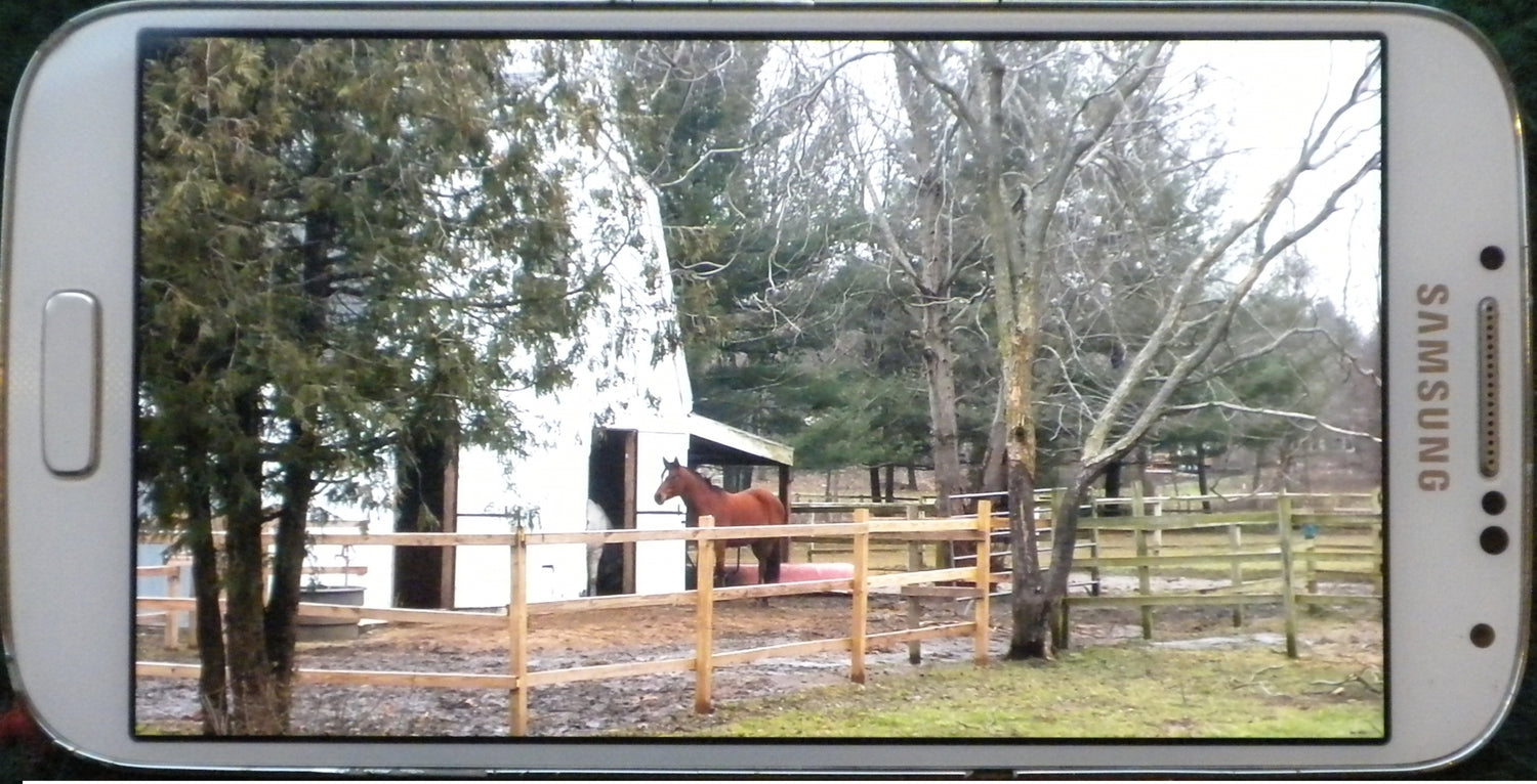 5-895187-barnview.jpg