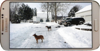5-895187-drivewayview.jpg