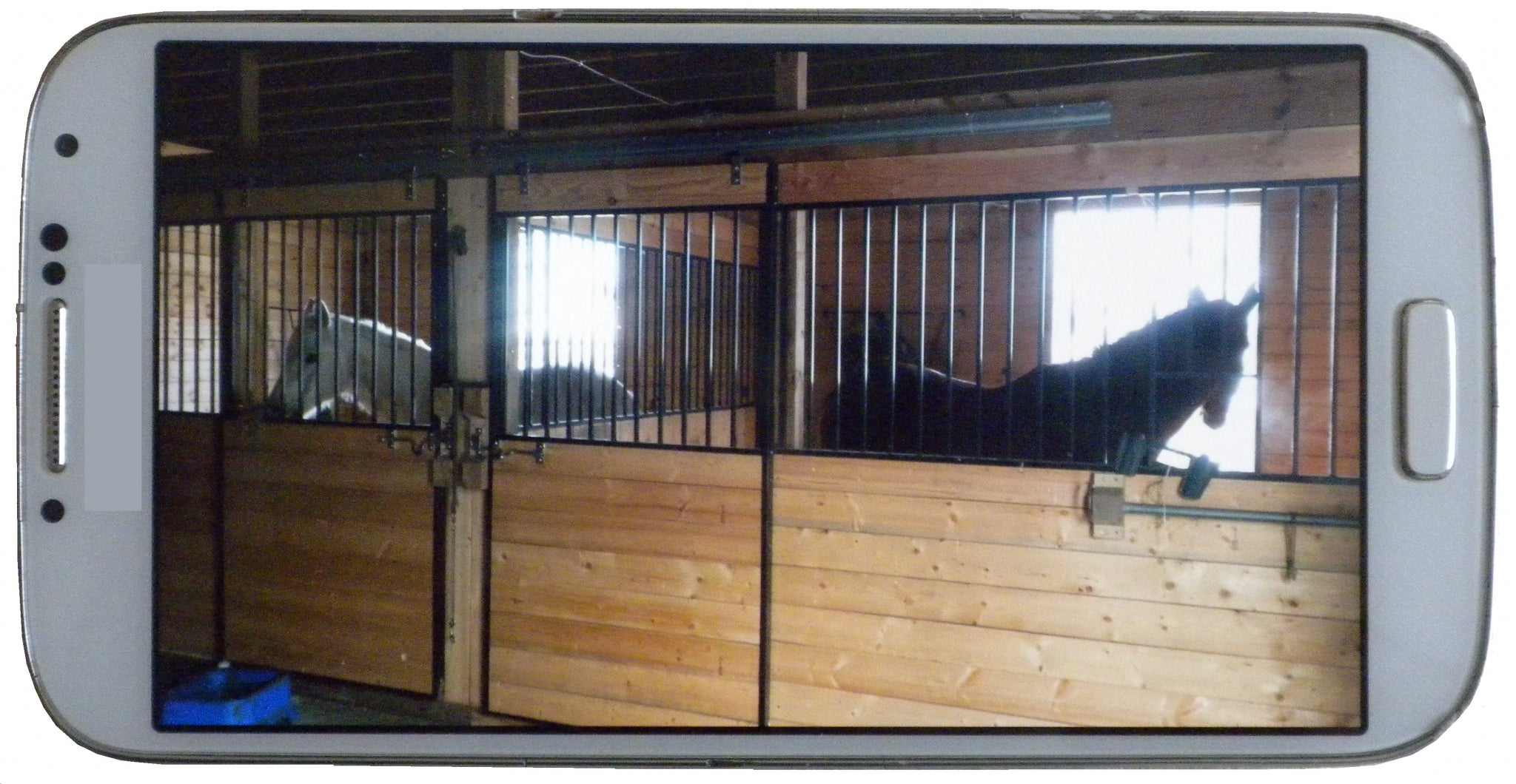 5-895189-barnview.jpg
