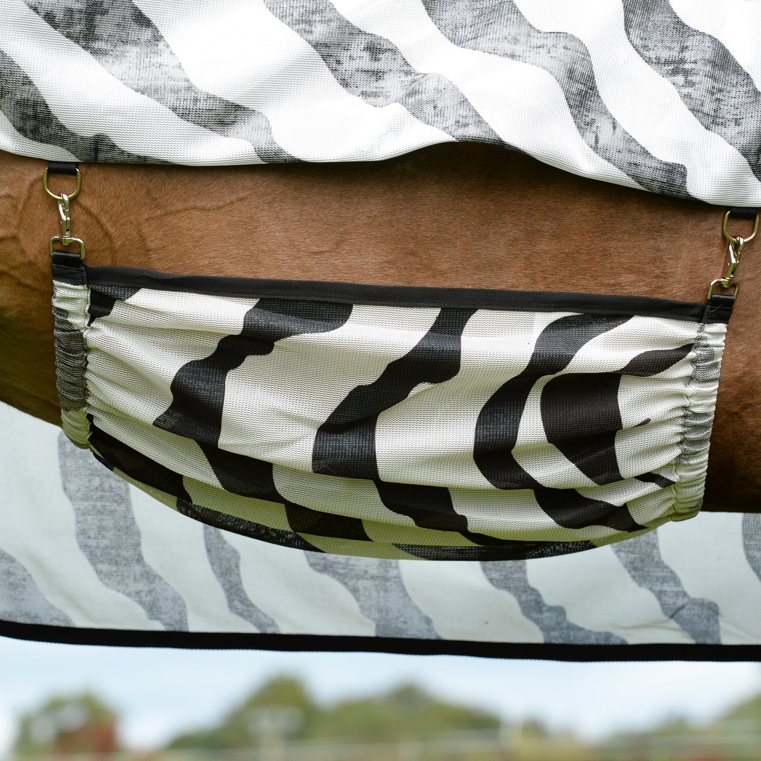 5-912054-zebrabelly.jpg