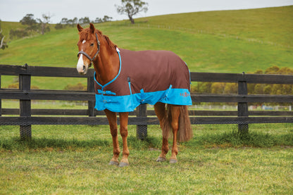 5-918526-brownroyalblue.jpg
