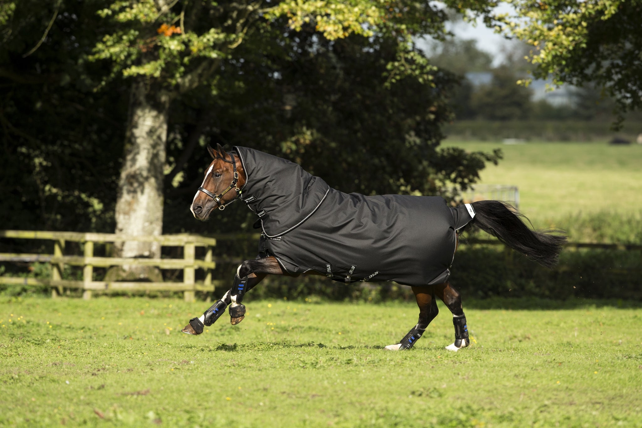 5-924598-blackblacksilver.jpg