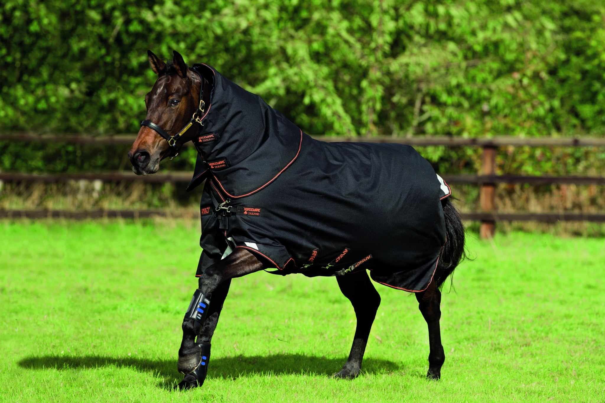 5-924630-blackblackorangestripe.jpg