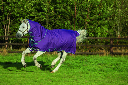 5-924630-purplenavyaqua.jpg
