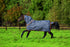 5-924670-excaliberorange.jpg