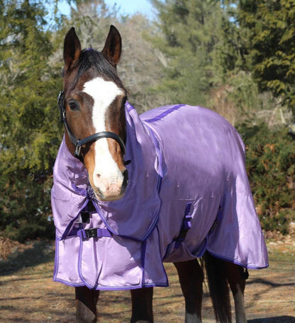 5-930964_orchid_violet_front_1.jpg