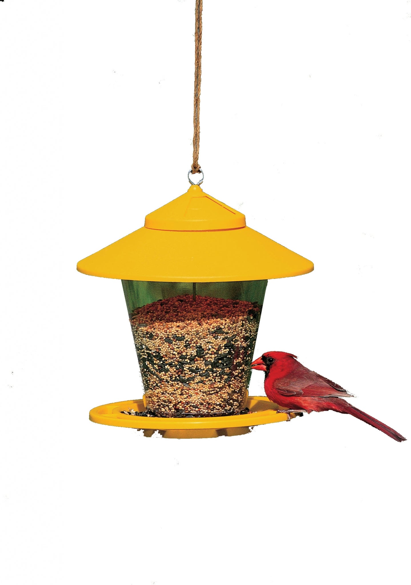 5-933100-assorted.jpg
