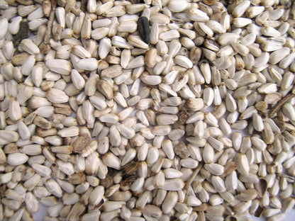5-933163-25lb.jpg