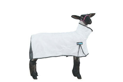 5-933229-white.jpg