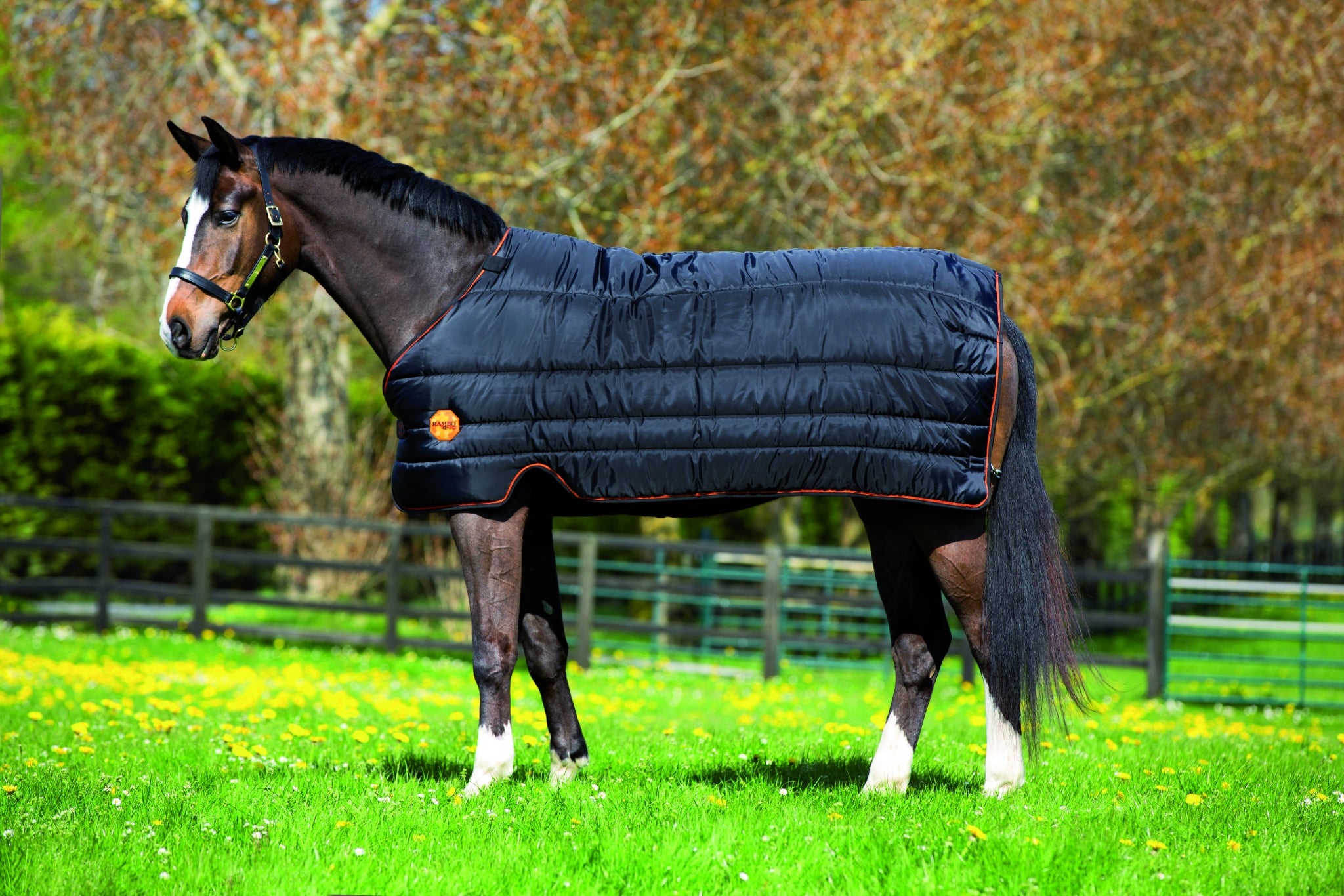 5-940961-black.jpg