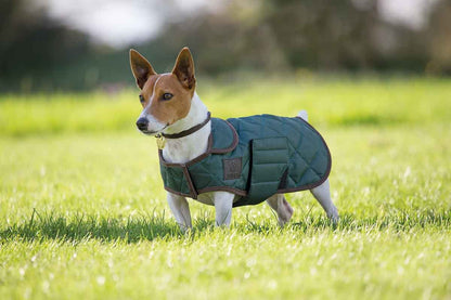 5-949078-green.jpg