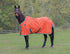 5-949324-orange.jpg
